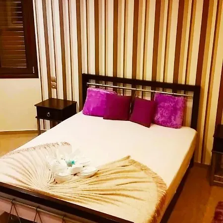 公寓 Kate's & Kallia's House 克法洛斯