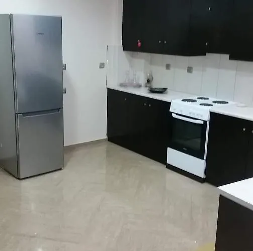 公寓 Kate's & Kallia's House 克法洛斯